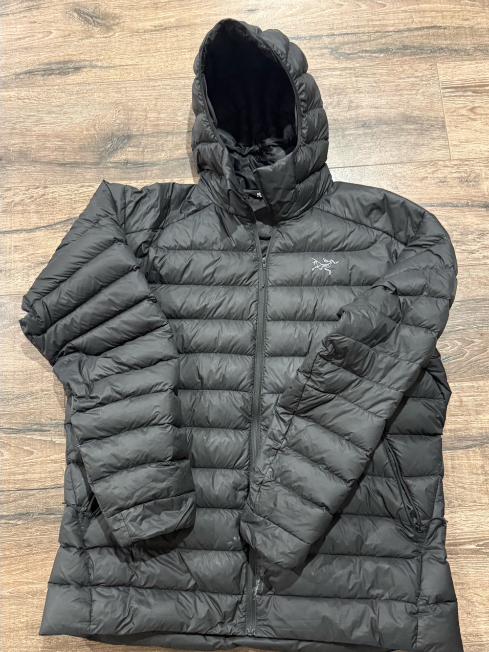 Arc'teryx Black Hooded Down Puffer Jacket